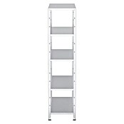 Regalux Metallregal (45 x 100 x 188 cm, Traglast: 65 kg/Boden, Silber)