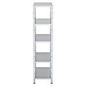 Regalux Metallregal (45 x 100 x 188 cm, Traglast: 65 kg/Boden, Silber)