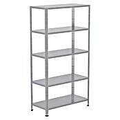 Regalux Metallregal (45 x 100 x 188 cm, Traglast: 65 kg/Boden, Silber)