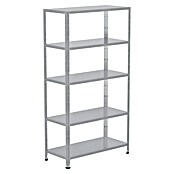 Regalux Metallregal (45 x 100 x 188 cm, Traglast: 65 kg/Boden, Silber)