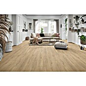 LOGOCLIC Silentos Laminat Allegra (Braun, Landhausdiele, 1 288 x 195 x 9 mm) | BAUHAUS