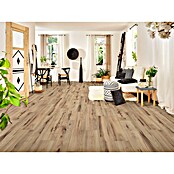 LOGOCLIC Family Laminat bukev Varese  (Rustikalen videz, 1.288 x 195 x 7 mm) | 5137 - Logoclic Family | GCDA - Laminatboden | GCD - Wand Boden Decke Leisten | GC - Wand Boden Decke Leisten | G - Holz/Bauelem | BAUHAUS