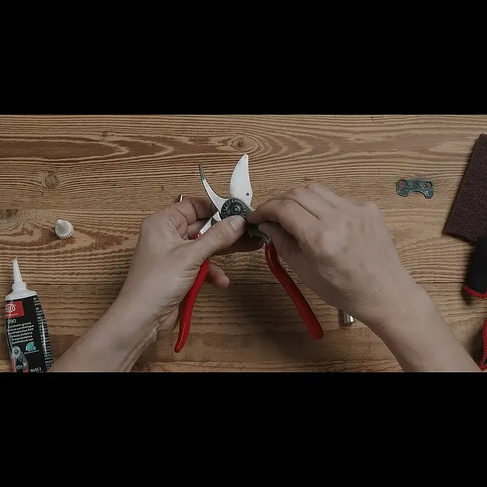 Felco Gartenschere 6 Elite - Bypass, Max. Aststärke: 20 mm - How to clean and service  your FELCO 6 pruning shears