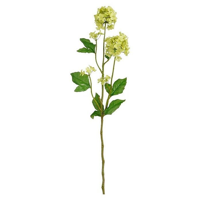 Mica Decorations Umetna roža Viburnum  (71,5 cm, Plastika) | Svilene rože | Cvetličarstvo | Rastline | Vrt in prosti čas | Izdelki | BAUHAUS