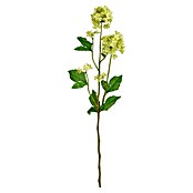 Mica Decorations Umetna roža Viburnum  (71,5 cm, Plastika) | Svilene rože | Cvetličarstvo | Rastline | Vrt in prosti čas | Izdelki | BAUHAUS