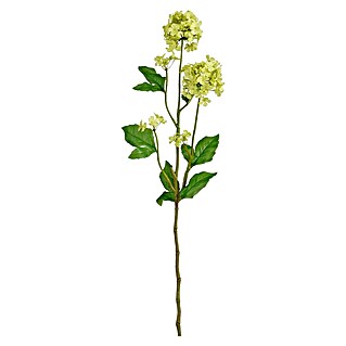 Mica Decorations Umetna roža Viburnum (71,5 cm, Plastika)