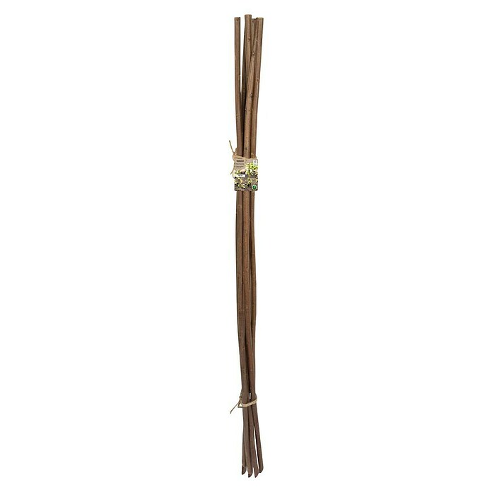 Windhager Pflanzenstab (Länge: 120 cm, Holz) | BAUHAUS