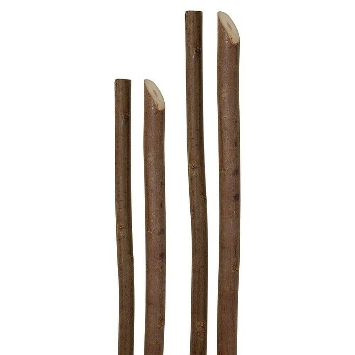 Windhager Pflanzenstab (Länge: 150 cm, Holz) | BAUHAUS