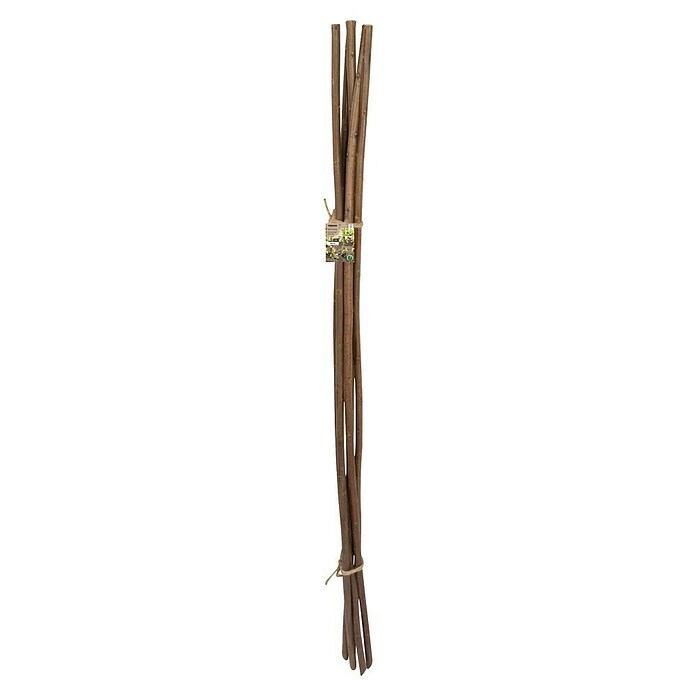 Windhager Pflanzenstab (Länge: 150 cm, Holz) | BAUHAUS