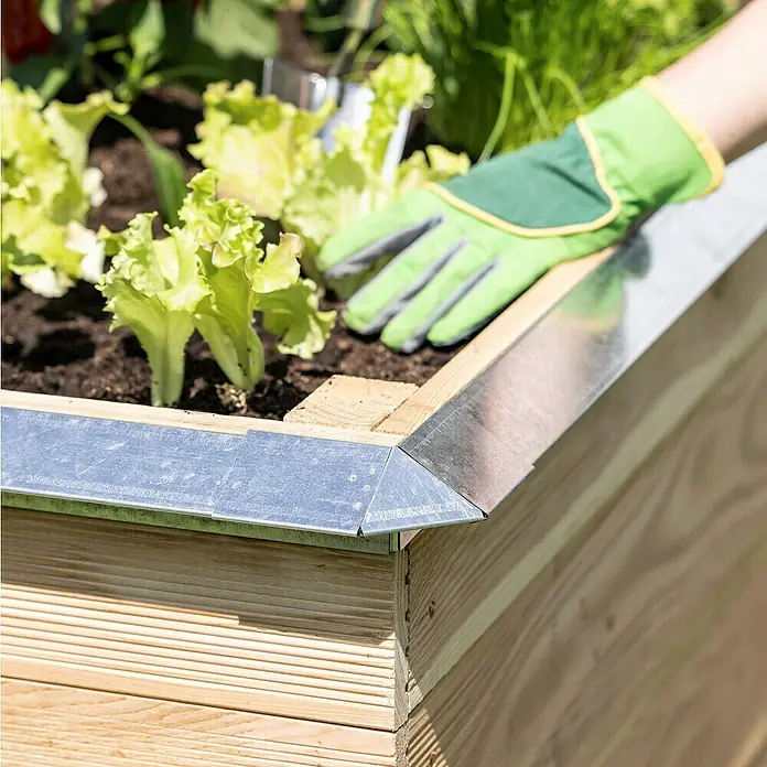 Windhager Schneckenblech Eckteil - Metall, Silber - Hochbeet mit Salatpflanzen und verzinktem Kantenschutz, Gartenarbeit mit Handschuhen.