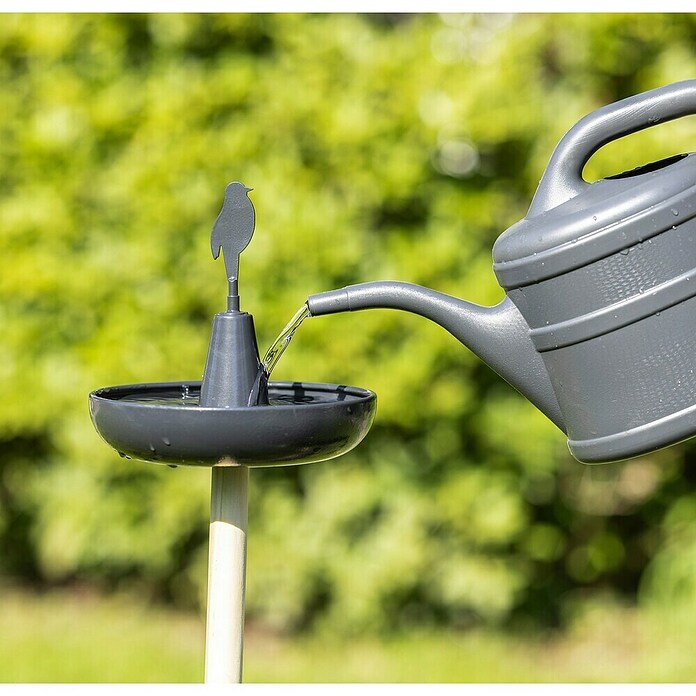 Windhager Vogeltränke Badi (Dunkelgrau, Metall) | BAUHAUS