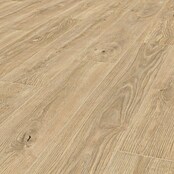 LOGOCLIC Silentos Laminat Allegra (Braun, Landhausdiele, 1 288 x 195 x 9 mm) | BAUHAUS