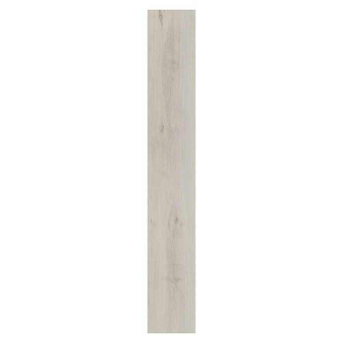 LOGOCLIC Edition Laminat Family Solario  (Rustikalen videz, 1.288 x 245 x 7 mm) | Laminat | Talne obloge | Izdelki | BAUHAUS