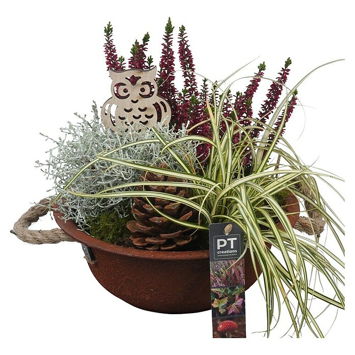 Arrangement Aktion Outdoor 11b 15