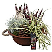 Arrangement Aktion Outdoor 11b 15