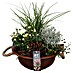 Piardino Pflanzenarrangement Herbst 3 