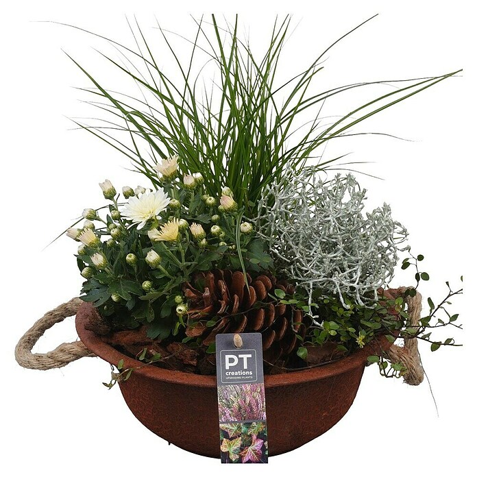 Arrangement Aktion Outdoor 11b 15