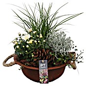 Arrangement Aktion Outdoor 11b 15