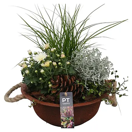 Piardino Pflanzenarrangement Herbst 3