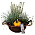Piardino Pflanzenarrangement Rostschale Herbst 2 