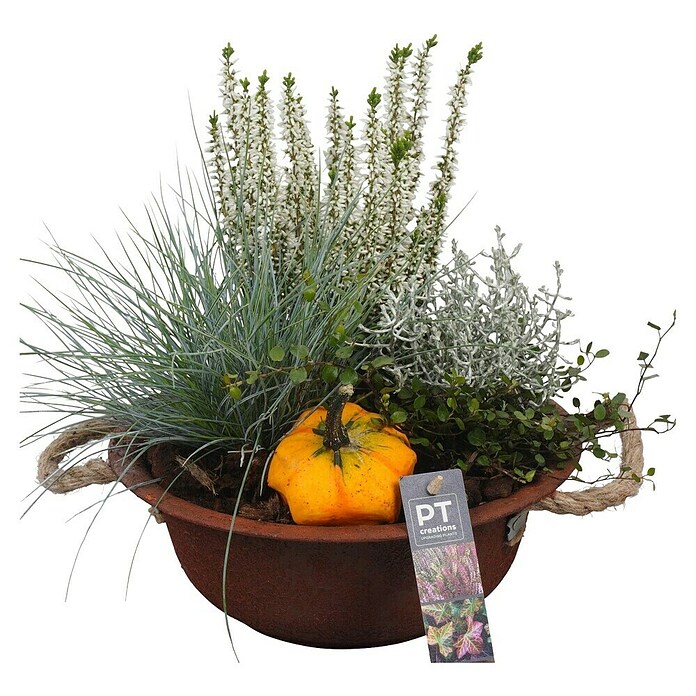 Arrangement Aktion Outdoor 11b 15