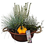 Arrangement Aktion Outdoor 11b 15