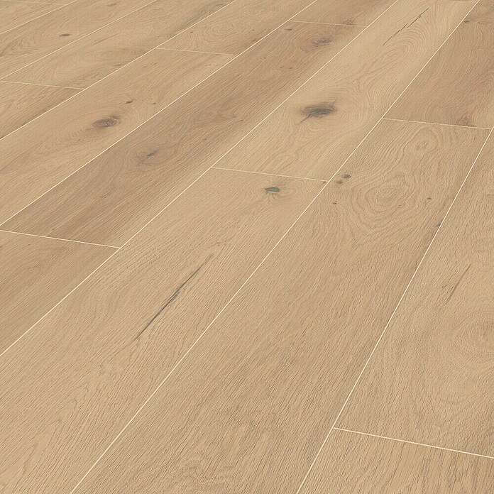 LOGOCLIC Silentos Laminat Eiche Forli (Eiche Forli, Landhausdiele, 1 288 x 195 x 9 mm) | BAUHAUS