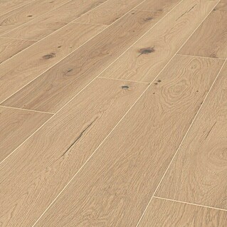 LOGOCLIC Silentos Laminat (Eiche Forli, Landhausdiele, 1.288 x 195 x 9 mm)