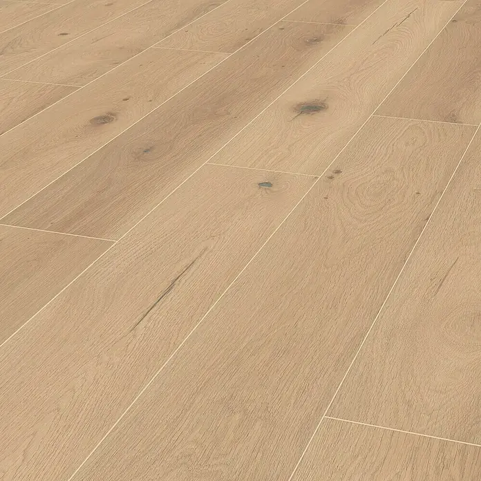 LOGOCLIC Silentos Laminat - Eiche Forli, Landhausdiele, 1.288 x 195 x 9 mm - Detailaufnahme eines hellen Parkettbodens, der die natürliche Holzmaserung und Astlöcher hervorhebt. Die warmen Farbtöne verleihen dem Raum eine einladende Atmosphäre.