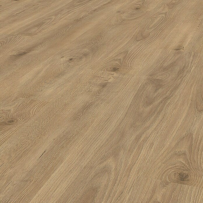 LOGOCLIC Silentos Laminat Laguna  (Rustikalen videz, 1.288 x 195 x 9 mm) | 5142 - Logoclic Silentos | GCDA - Laminatboden | GCD - Wand Boden Decke Leisten | GC - Wand Boden Decke Leisten | G - Holz/Bauelem | BAUHAUS