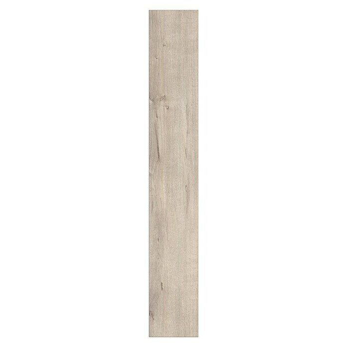 LOGOCLIC Ambienta Laminat Aurora (Aurora, Landhausdiele, 1 288 x 195 x 10 mm) | BAUHAUS