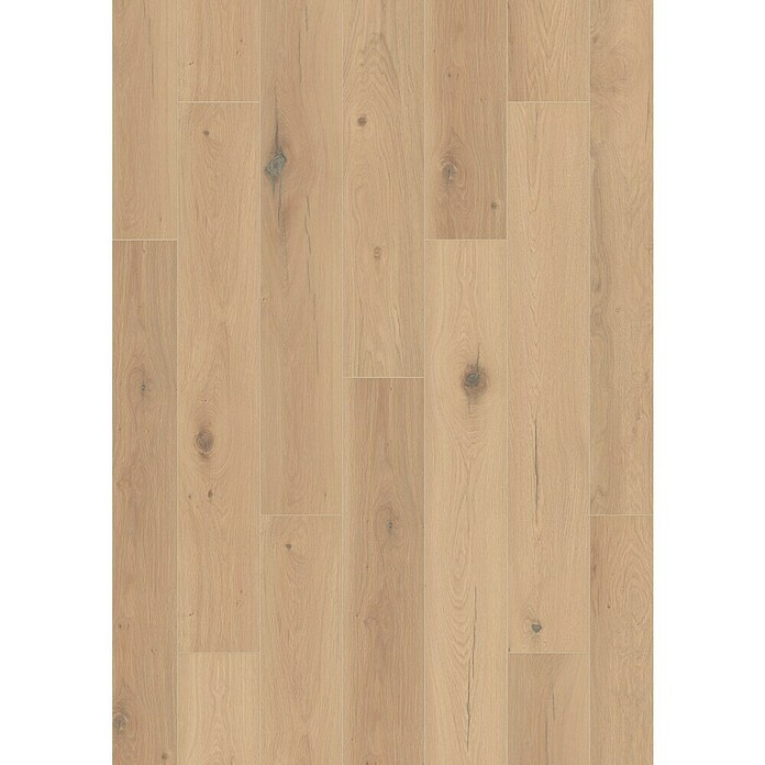 LOGOCLIC Silentos Laminat Hrast Forli  (Rustikalen videz, 1.288 x 195 x 9 mm) | 5142 - Logoclic Silentos | GCDA - Laminatboden | GCD - Wand Boden Decke Leisten | GC - Wand Boden Decke Leisten | G - Holz/Bauelem | BAUHAUS