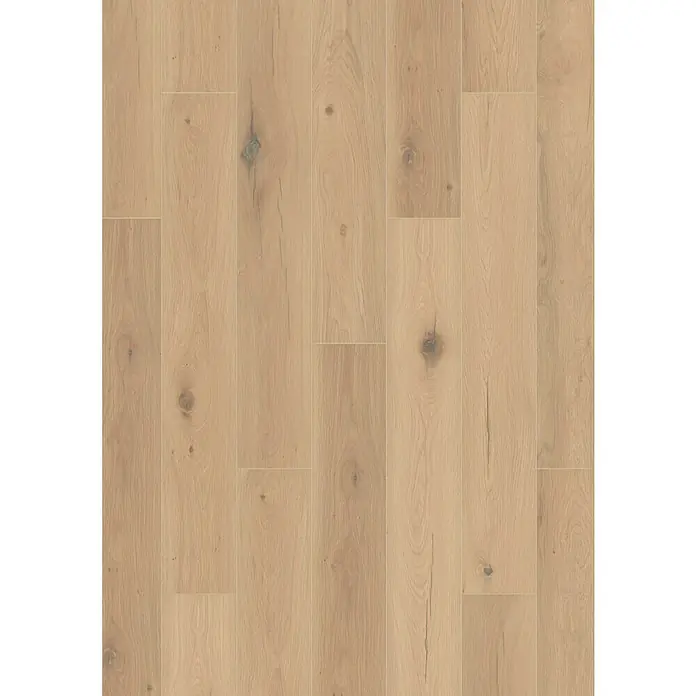 LOGOCLIC Silentos Laminat - Eiche Forli, Landhausdiele, 1.288 x 195 x 9 mm - Detailaufnahme eines hellbraunen Holzfußbodens, der die natürliche Maserung und Astlöcher des Holzes hervorhebt.