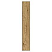 Laminat Comet Hrast  (Rustikalen videz, 1.288 x 195 x 8 mm) | 5180 - Laminat Aktion mit Trittschall | GCDA - Laminatboden | GCD - Wand Boden Decke Leisten | GC - Wand Boden Decke Leisten | G - Holz/Bauelem | BAUHAUS