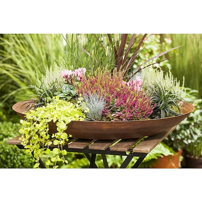 Pflanzen-Mix - Topfgröße: 9 cm, Gesamtstückzahl: 6 Stk. - Elegante Rostschale auf einem Tisch mit üppigen Pflanzen, die eine warme, natürliche Atmosphäre erzeugen.