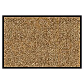 Fußmatte Rhine (Beige, 200 x 200 cm, 100 % Polyamid) | BAUHAUS