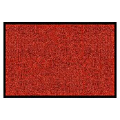 Fußmatte Rhine (Rot, 200 x 200 cm, 100 % Polyamid) | BAUHAUS