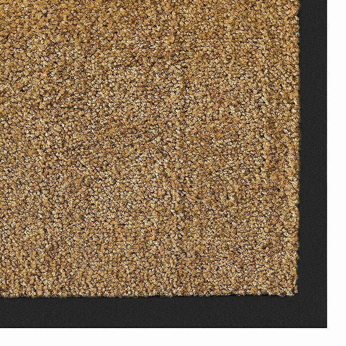 Fußmatte Rhine (Beige, 200 x 200 cm, 100 % Polyamid) | BAUHAUS