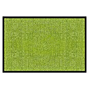 Fußmatte Rhine (Limone, 120 x 90 cm, 100 % Polyamid) | BAUHAUS