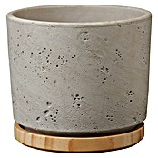 Soendgen Keramik Okrogli lonec Paros Deluxe  (Zunanje dimenzije (Ø x V): 14 x 13 cm, Siva, Les) | 8450 - Übertoepfe Keramik | IAKA - Gefäße Indoor | IAK - Gefässe,Deko outdoor, Zeitschriften | IA - Gartenhartware | I - Stadtgarten | BAUHAUS