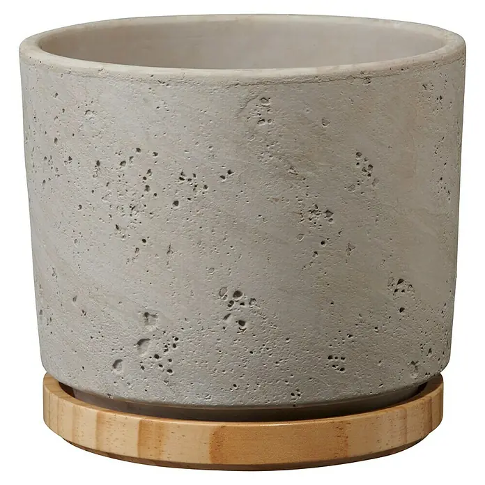Soendgen Keramik Übertopf rund Paros Deluxe - Außenmaß (Ø x H): 14 x 13 cm, Hellgrau, Holz - Betonblumentopf mit Holzuntersetzer. Der Topf hat eine raue Textur und eine zylindrische Form, ideal für Zimmerpflanzen.