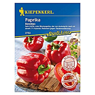 Kiepenkerl Profi-Line Gemüsesamen Blockpaprika (Bendigo, Capsicum annuum, Erntezeit: August)