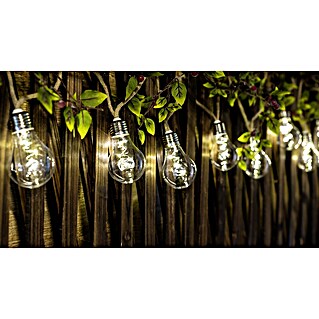 Starlux LED svjetlosni lanac Bulb (Na baterijski pogon, 3 m, Topla bijela)