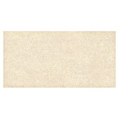 Momastela Porculanska pločica Absolute 2.0  (62 x 31 cm, Bež, Mat) | BAUHAUS