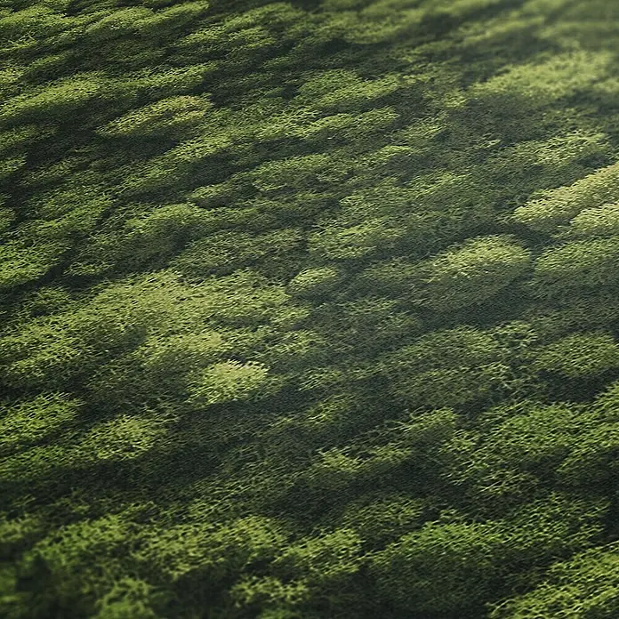 A.S. Création Pintwalls 2 Vliestapete Mooswand - Grün, Floral, 10,05 x 0,53 m - Nahaufnahme von Moos, das eine dichte, grüne Textur mit subtilen Licht- und Schattenverläufen zeigt, ideal für naturnahe Hintergründe.