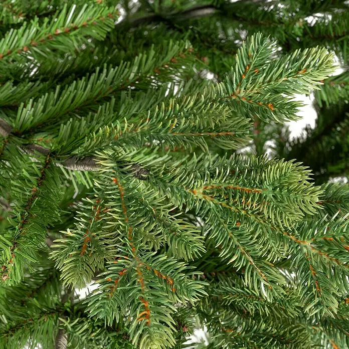 Edelmann Künstlicher Weihnachtsbaum Maklura - Höhe: 185 cm, Grün - Nahaufnahme eines künstlichen Weihnachtsbaums mit grünen Nadeln und braunen Ästen.