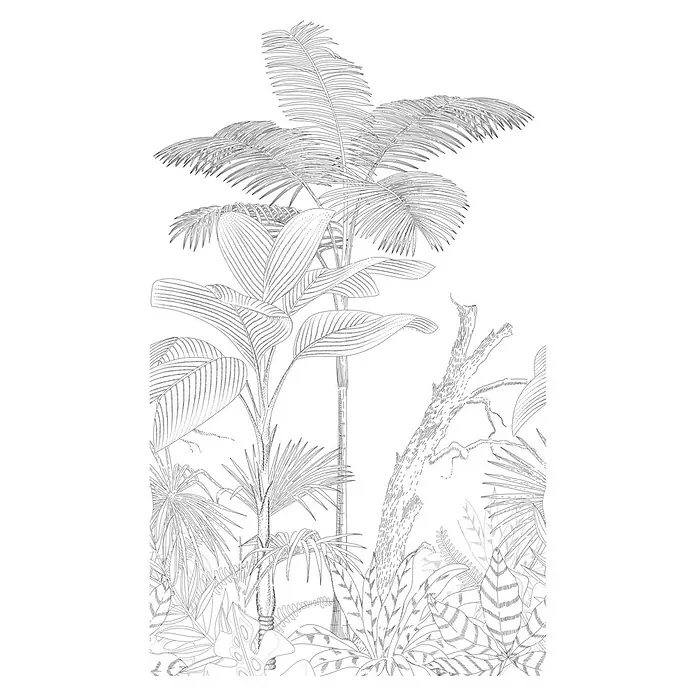 A.S. Création The Wall 2 Fototapete Dschungelzeichnung - B x H: 159 x 280 cm, Vlies - Illustration eines üppigen Dschungels mit Palmen und tropischen Pflanzen in Schwarzweiß. Detailreiche botanische Darstellung für Dekor.