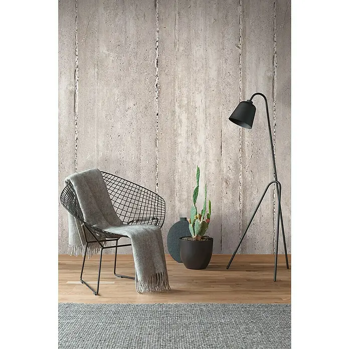 A.S. Création The Wall 2 Fototapete Betonwand II - B x H: 159 x 280 cm, Vlies - Elegantes Interieur mit einem modernen Drahtstuhl, einer grauen Decke, einem Kaktus und einer stilvollen Stehlampe vor einer Betonwand.