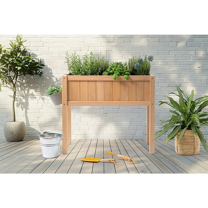 Sun Hochbeet Bloom 75 (75 x 35 x 65 cm, Holz, Natur) | BAUHAUS