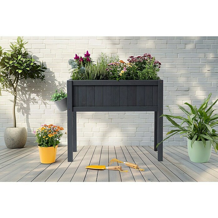 Sun Huerto Bloom 75 (75 x 35 x 65 cm, Madera, Antracita) | BAUHAUS